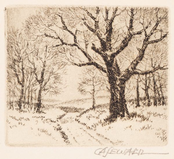 A rutted tree lined country road winding its way from the foreground to the distance, in a snowy landscape.