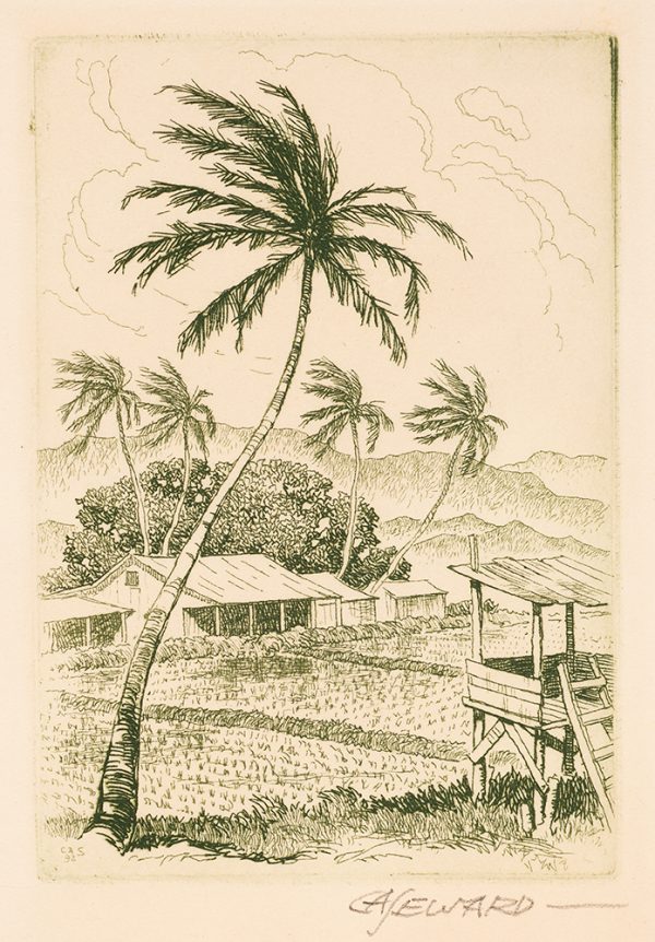 Palm trees stand over a farm field and a house.