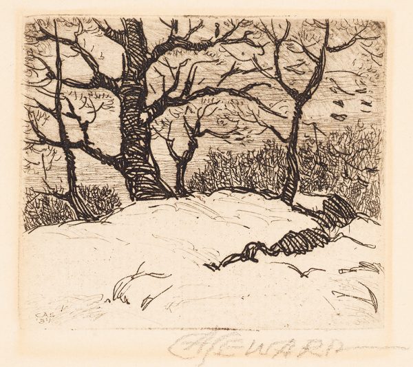 A snowy landscape with a short rocky ledge in the foreground and barren trees scattered throughout the background.