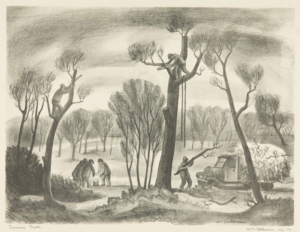 Two men are high in trees cutting the top limbs off. On the ground at the left are a group of men warming their hands over a small fire. The the right a man loads tree limbs onto a truck.