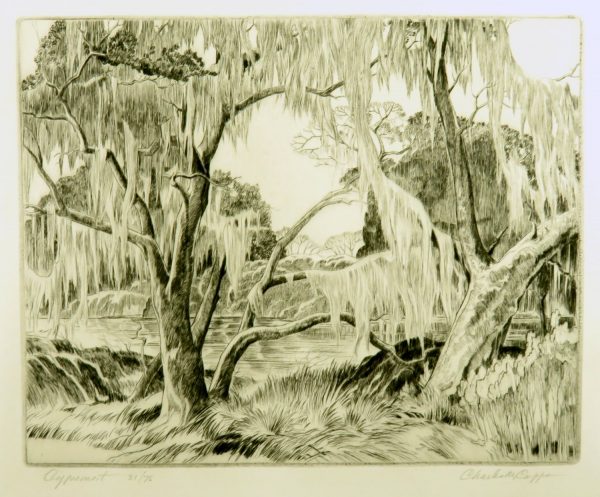 A scene of a swamp, with spanish moss hanging from trees in front of a body of water.