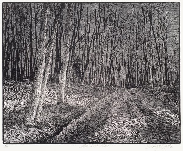 A road runs from bottom center right toward the top. The trees are thickly planted and they have no leaves.