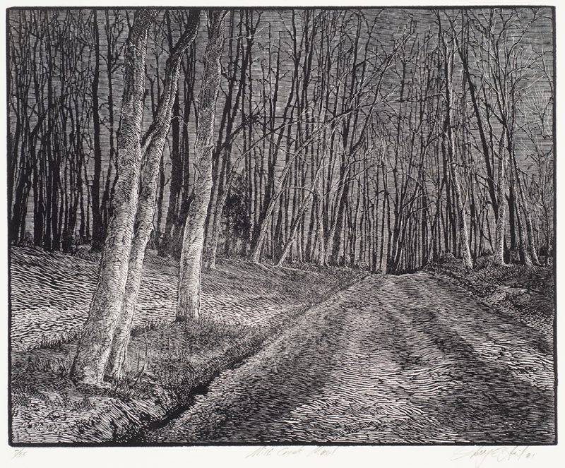 A road runs from bottom center right toward the top. The trees are thickly planted and they have no leaves.