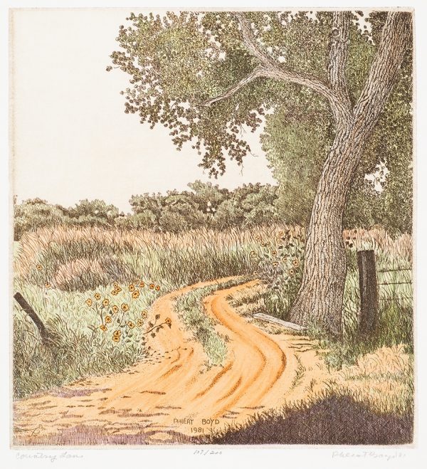 A dirt road leads from the bottom left in an S-pattern toward the center right. A cottonwood tree and barbed wire fence is on the right, with flowers on the left. Tall grasses are at the midground with shorter trees behind.