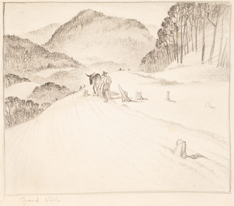 A man and his mule plow a field. there are tree stumps in the filed, and low mountians in the distance.