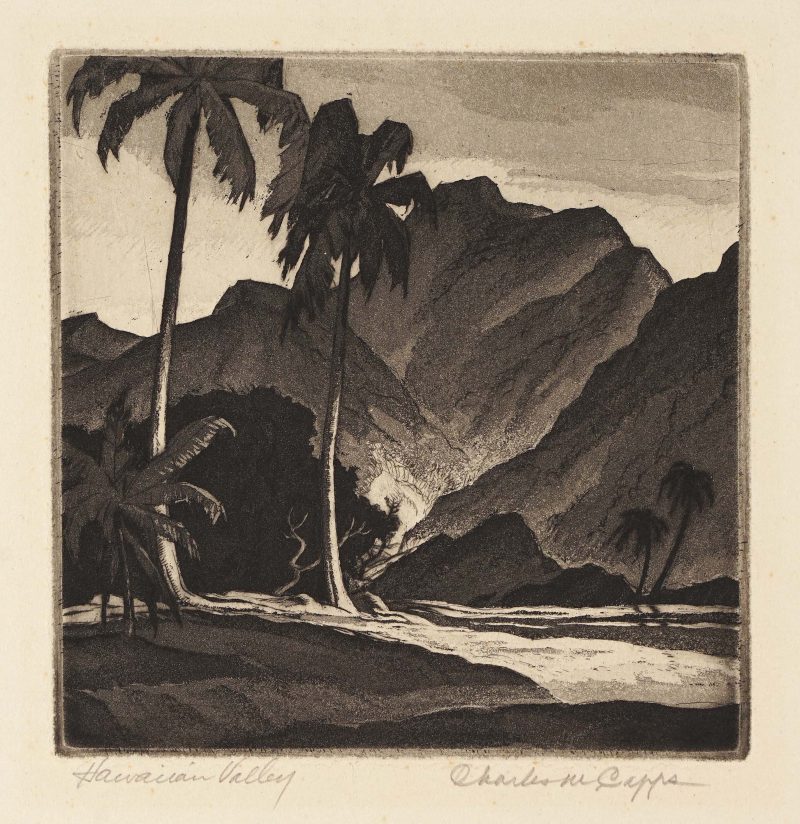 A moutainside with palm trees in front of it.