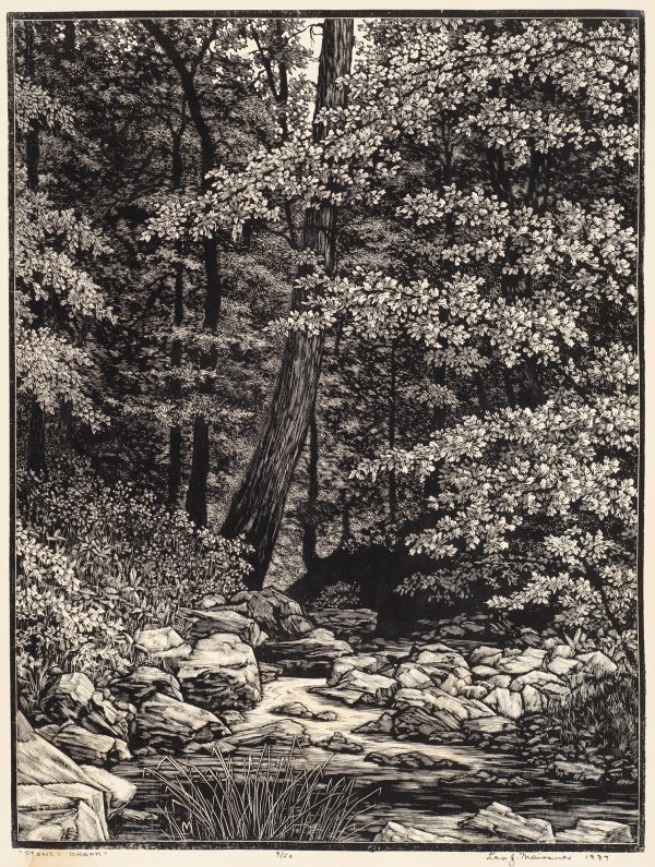 A tall tree stands over a brook running along the botgtom of the image, with stones along the bank.