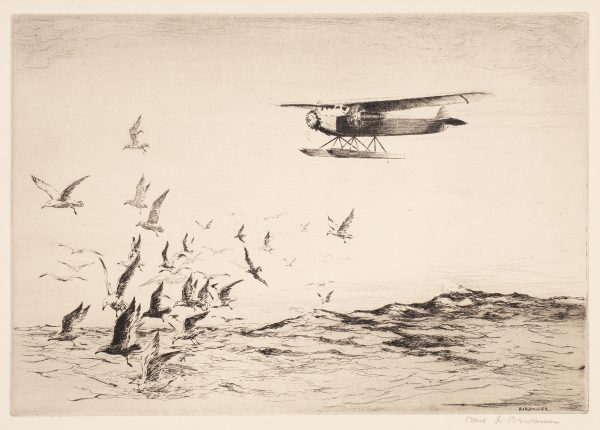 An airplane flies over the ocean with a flock of birds skimming the water in flight.