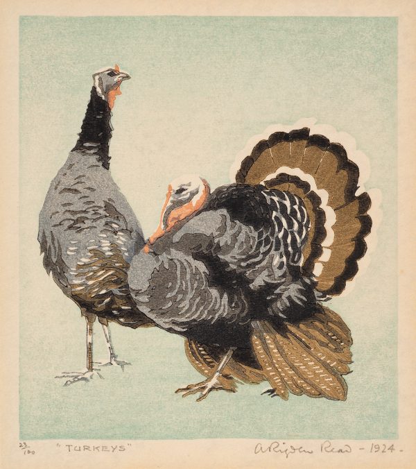 Two turkeys, one with tail feathers fanned out. Printed in grey, brown, green, pink and black