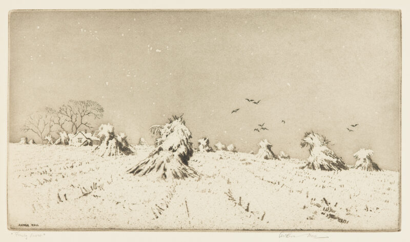 A field of corn shocks is covered with snow. Black birds fly over the field and a farm can be seen in the middle left edge of the image.