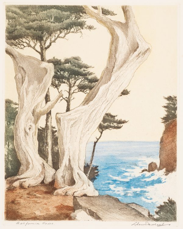 Two white tree trunks, perhaps dead, stand at the edge of a coastline. Fir trees are behind and blue water with white surf is to the right.