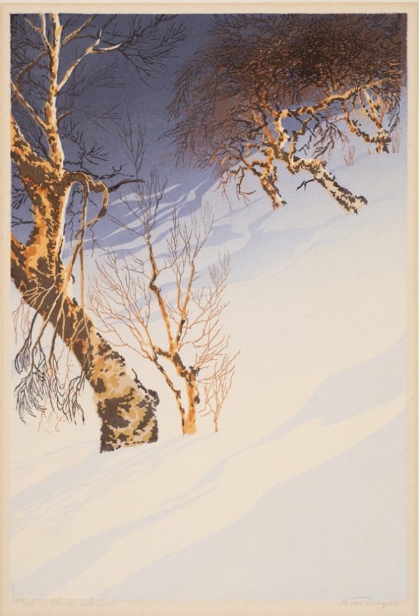 Birch trees are in the top left of the image with snow filling the lower right half.