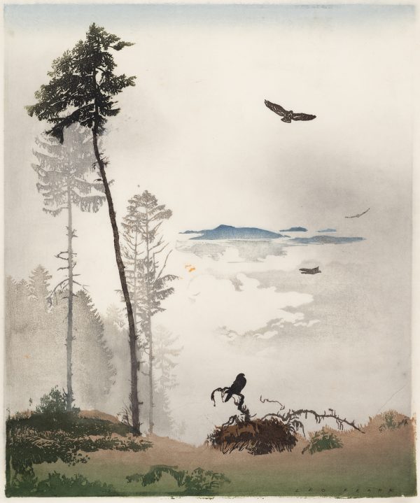 Birds fly above a foggy landscape over a patch of dead trees and one bird sits on a dead limb.