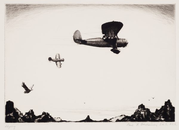 Two airplanes fly followed by a bird, with more birds in the distance. They fly over a body of water with a beach of angular rock formations.