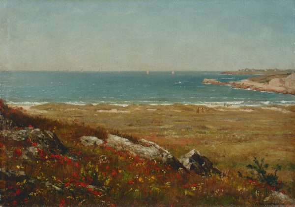 A calm beach with wildflowers in the foreground.