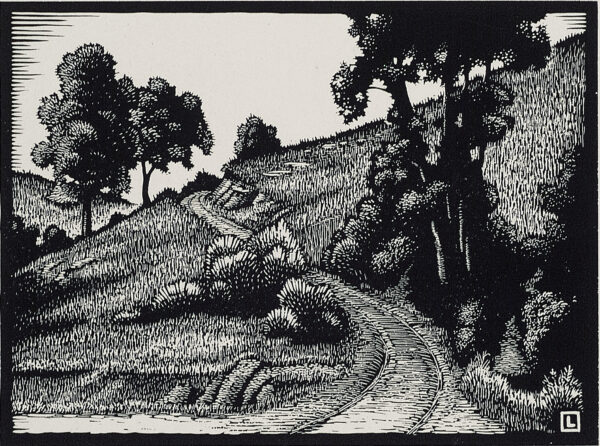 Illustration of a winding path going through a field with trees and shrubs