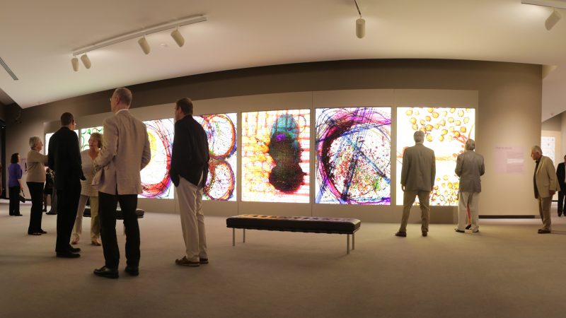 Interior image of adults in a gallery looking at colorful, large-scale prints on the wall