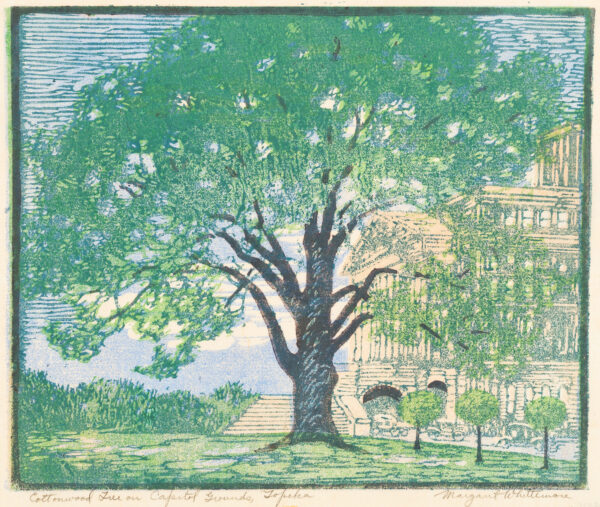 A large cottonwood tree in front of the Kansas Capitol building.