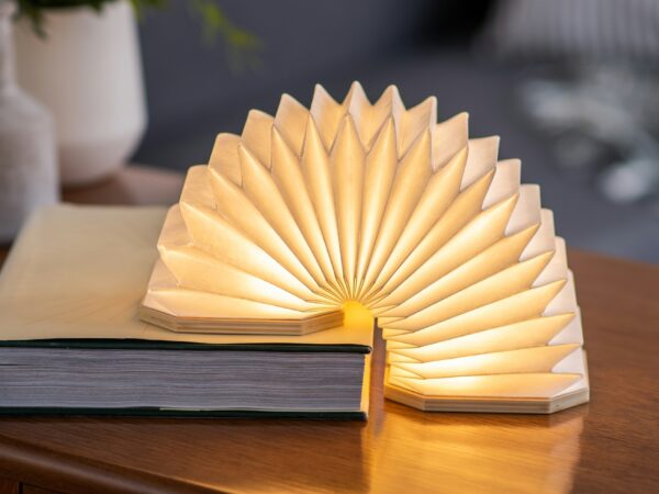 Accordian lamp on a table