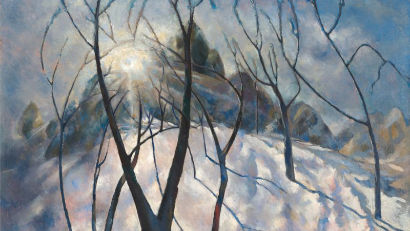 Bare trees in front of a snow covered hill with the sun shining through