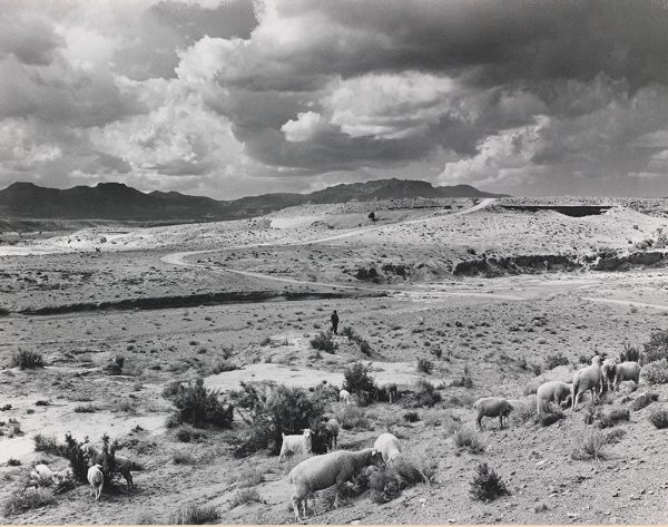 Black and white landscape photograph with a bout standing on a rock overlooking a herd of sheep in the foreground, a winding road through the desert flats and mountains in the background under a sky filled with puffy clouds