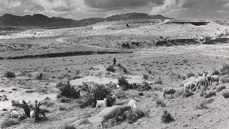 Black and white landscape photograph with a bout standing on a rock overlooking a herd of sheep in the foreground, a winding road through the desert flats and mountains in the background under a sky filled with puffy clouds