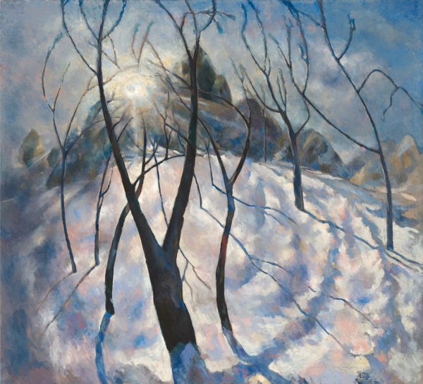 Bare trees in front of a snow covered hill with the sun shining through