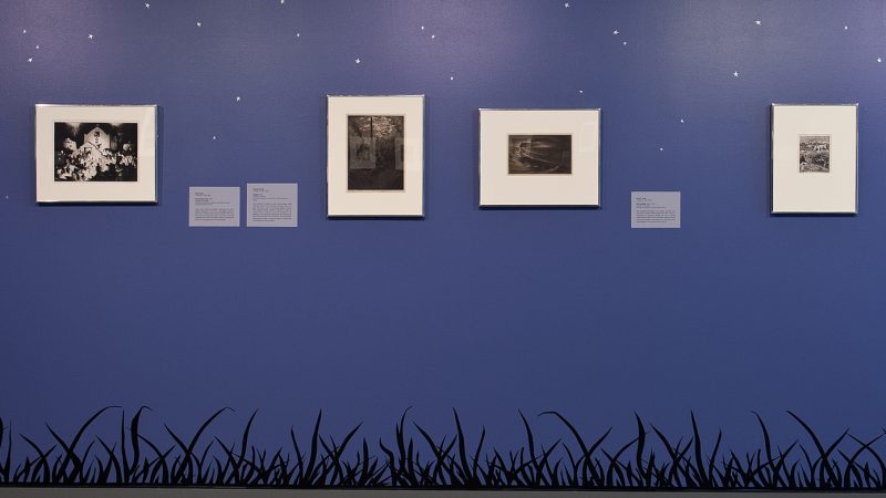 Gallery image of matted and framed prints on a dark blue wall with a black outline resembling blades of grass at the bottom of the image
