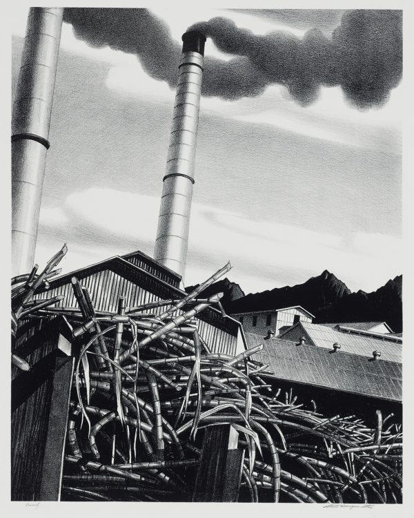 A container full of sugar cane sits to the left of several factory buildings. Two tall skinny smokestacks emit dark smoke into the clear sky. Mountains sit in the background.