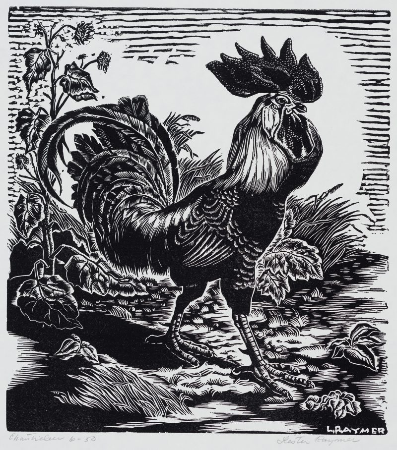 A rooster struts from left to right in a profile stance. His comb and sickle feather are extended as he walks through a garden. A sunflower stock stands behind him to the left.