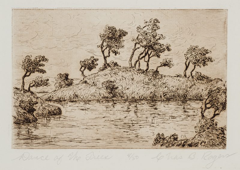 A peninsula of trees sway in the breeze. The water in the foreground reflects the surrounding trees and sky. Whisps of clouds swirl in the background.